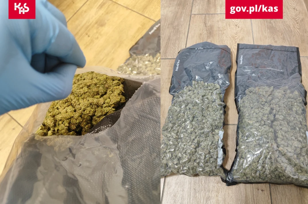 Mundurowi ze śląskiej KAS ujawnili blisko 2 kg suszu roślinnego!