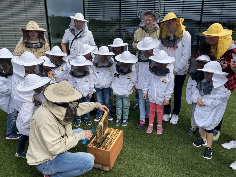 Katowice: Słodkie powitanie roku szkolnego w "pasiece" na dachu Ferrari