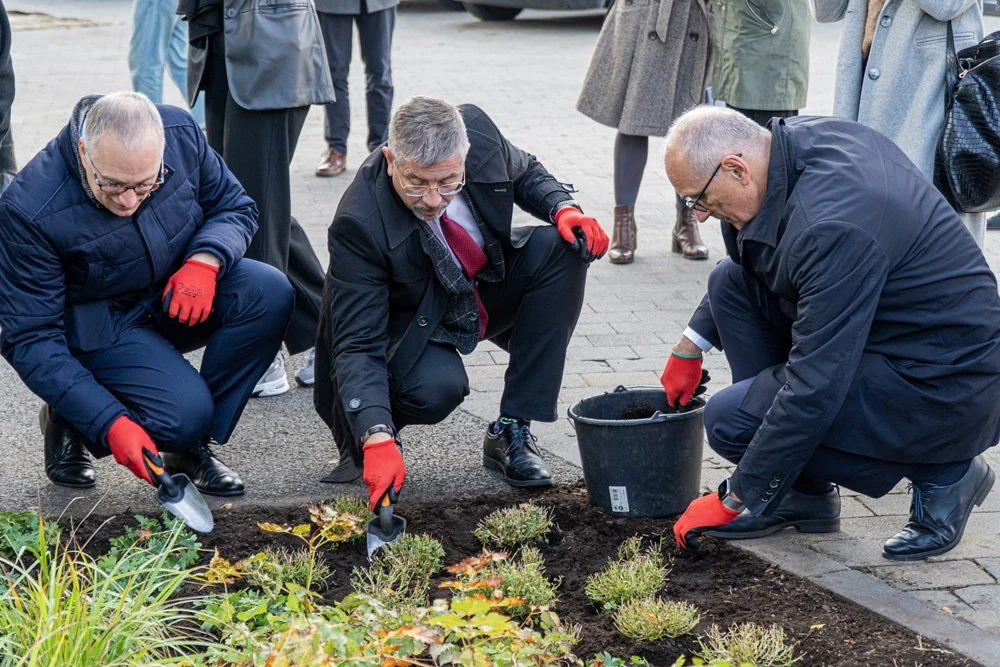 Firmy uczciły 10 lat programu współpracy z uczelniami. Posadzili ponad 180 roślin!