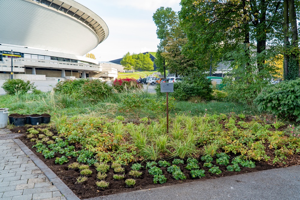 Firmy uczciły 10 lat programu współpracy z uczelniami. Posadzili ponad 180 roślin!