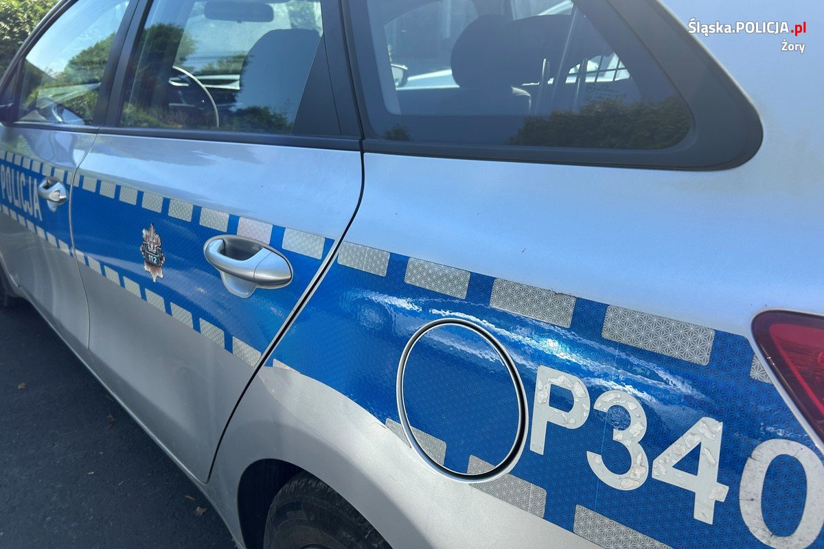 11-latek zgubił się w lesie. Szczęśliwy finał poszukiwań!