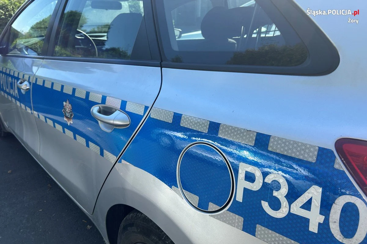 11-latek zgubił się w lesie. Szczęśliwy finał poszukiwań!