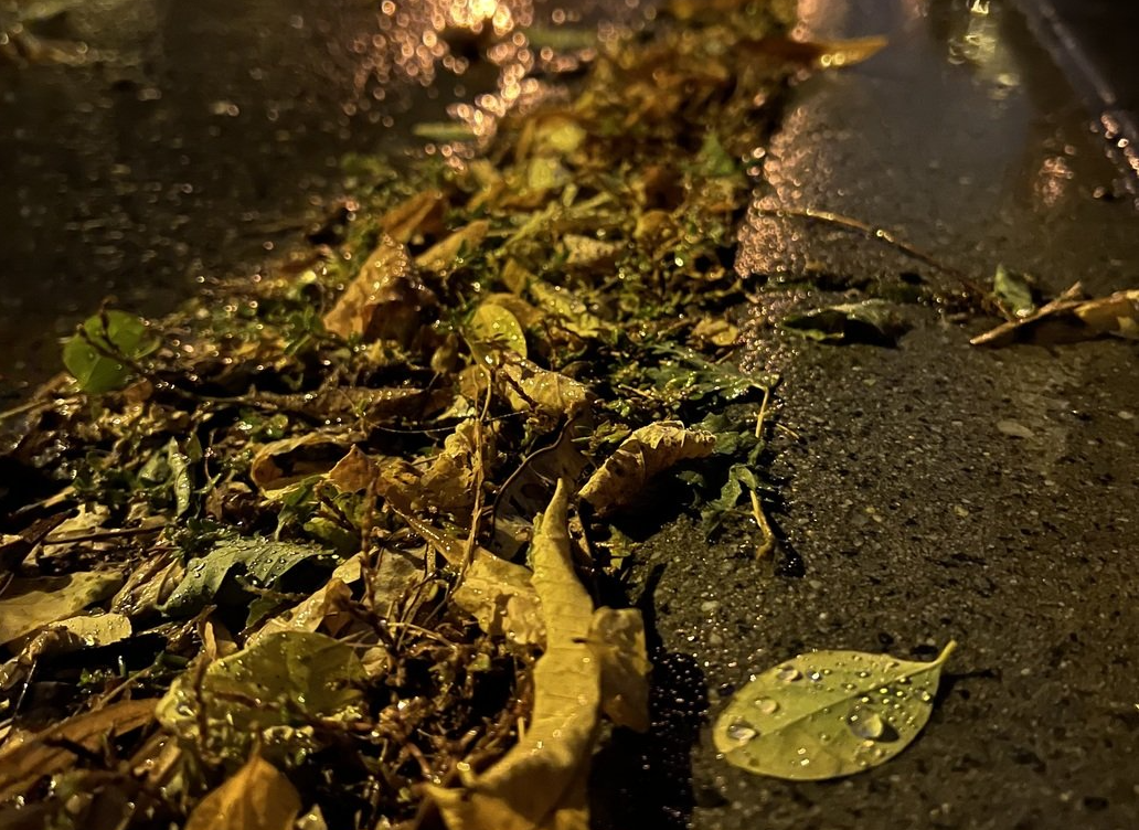 Jesień na drogach. Policja przypomina o zasadach bezpieczeństwa!