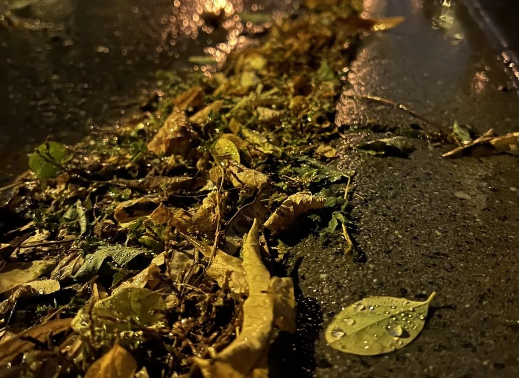 Jesień na drogach. Policja przypomina o zasadach bezpieczeństwa!