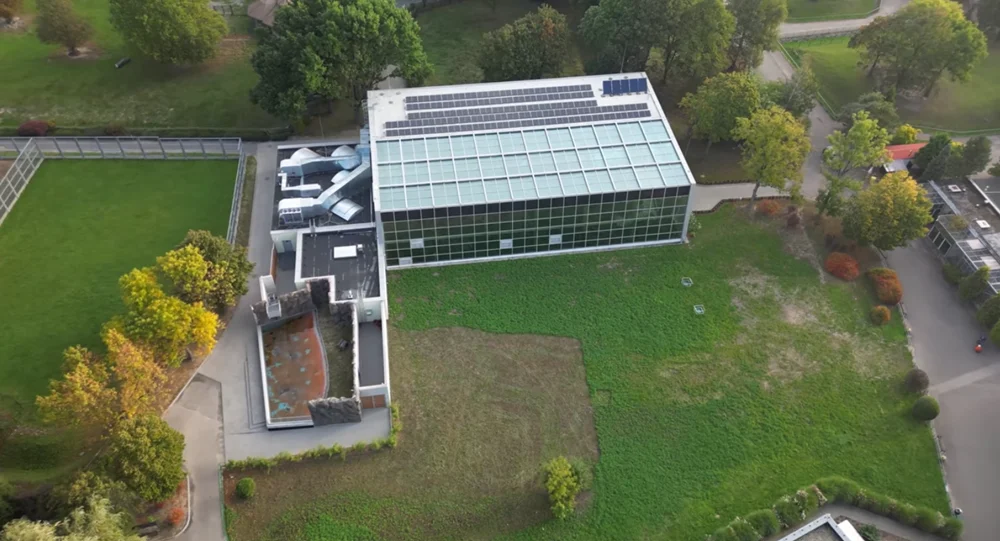 Las deszczowy w Śląskim ZOO. Nowa atrakcja w Chorzowie [WIDEO]