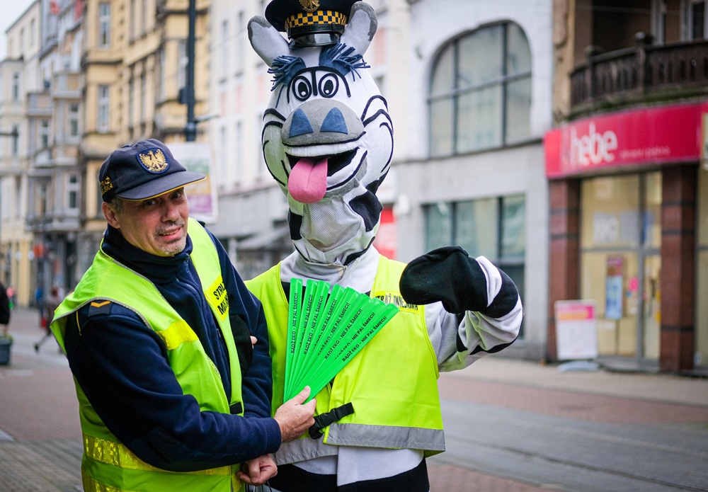 Straż Miejska w Chorzowie z zebrą Basią rozdawała odblaski!