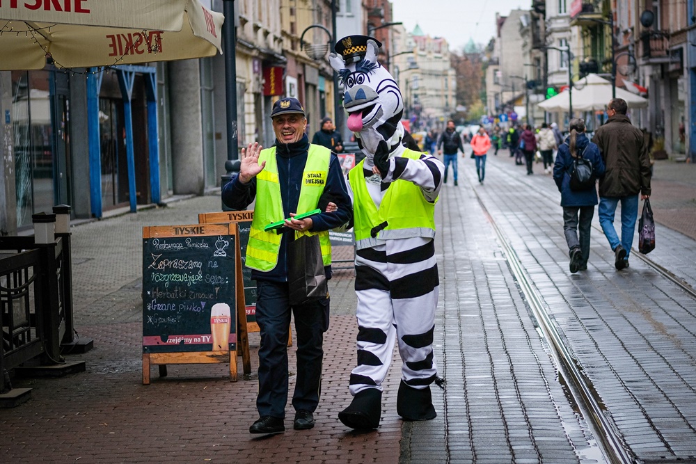Straż Miejska w Chorzowie z zebrą Basią rozdawała odblaski!