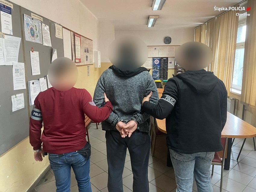 Chorzów: Policjanci odzyskali kolekcjonerskie figurki warte 13 tys. zł!