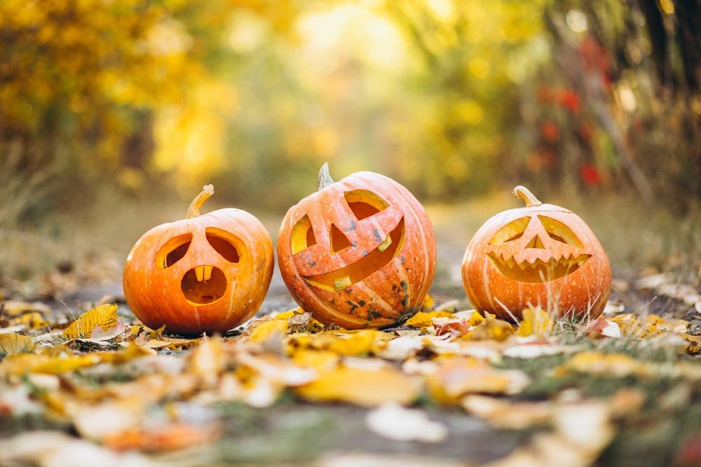 Halloween – co to za święto i kiedy wypada?