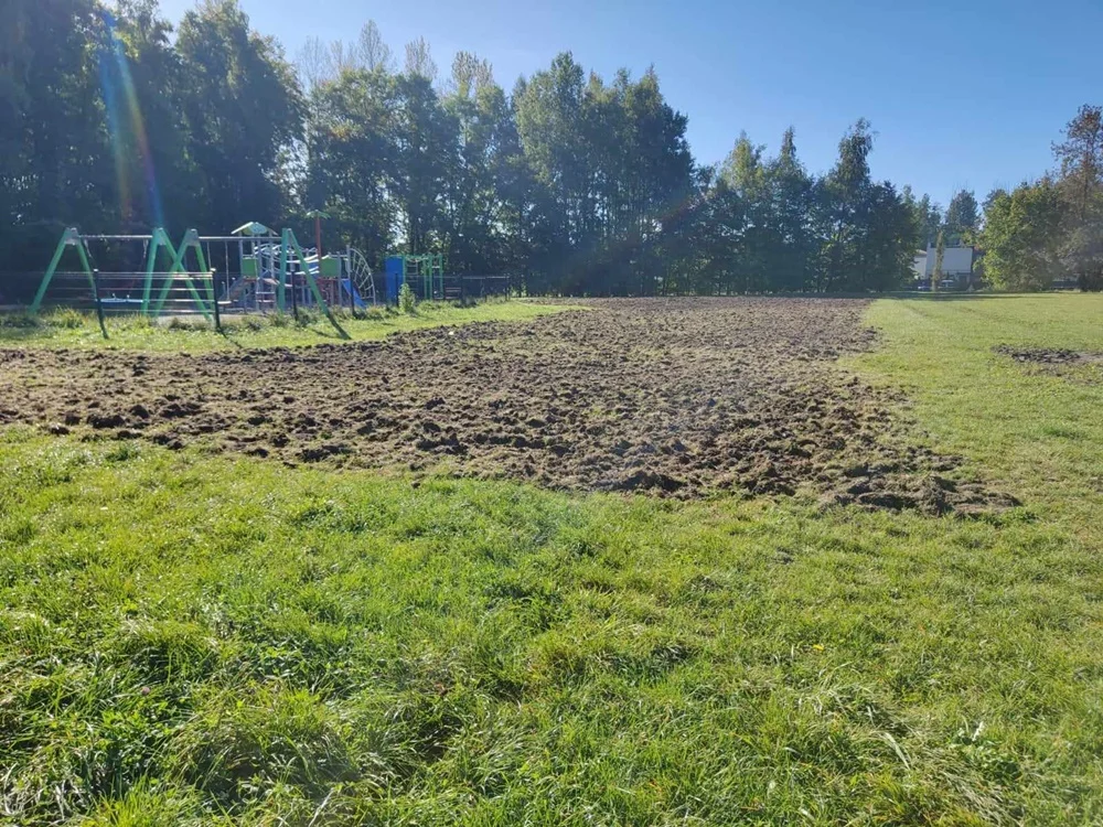 Przy Osiedlu Brzezina w Świętochłowicach powstanie łąka kwietna. Trwają przygotowania