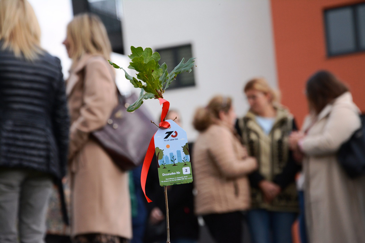 W Zabrzu posadzono kolejne drzewa!