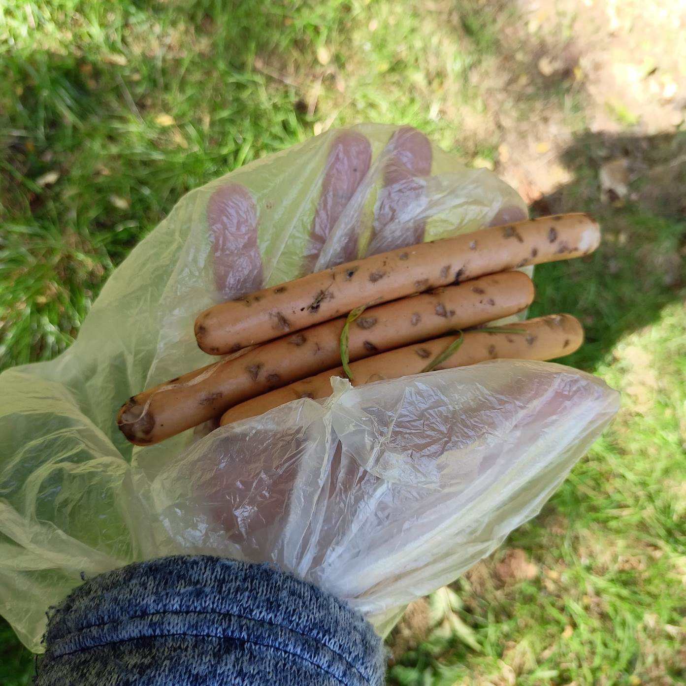 Ktoś truje psy na os. Pokoju?