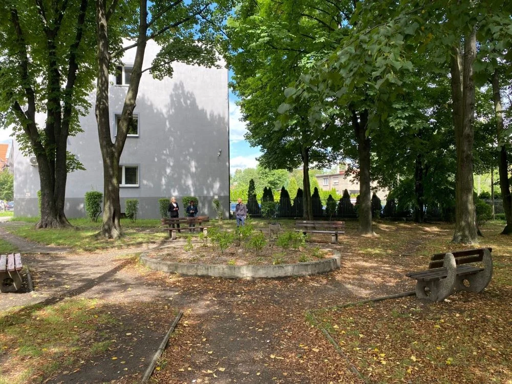 Ruszają kolejne konsultacje społeczne w sprawie skwerów i zieleńców