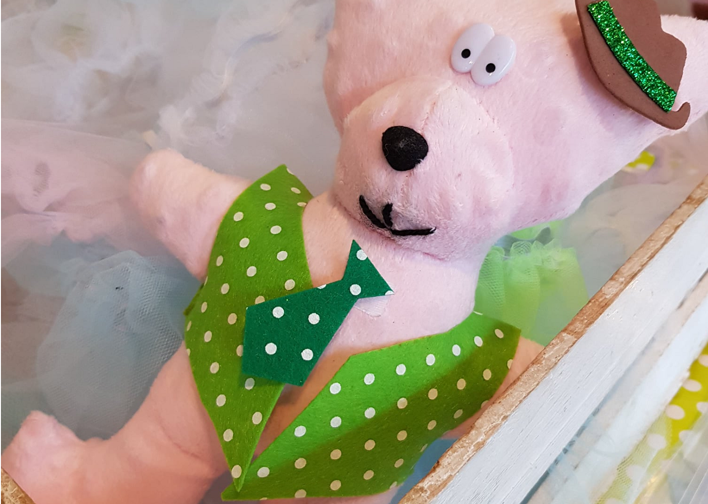 Dzień Misia w Aquadromie!