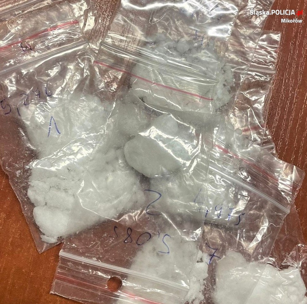 Zatrzymany z amfetaminą tymczasowo aresztowany