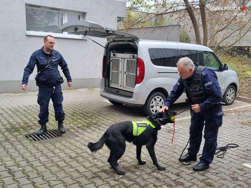 Przedszkola numer 10 i 11 w rybnickiej komendzie