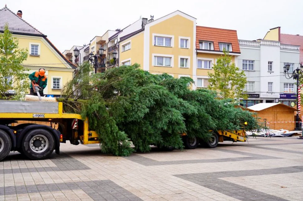 W Rybniku stanęła świąteczna choinka!