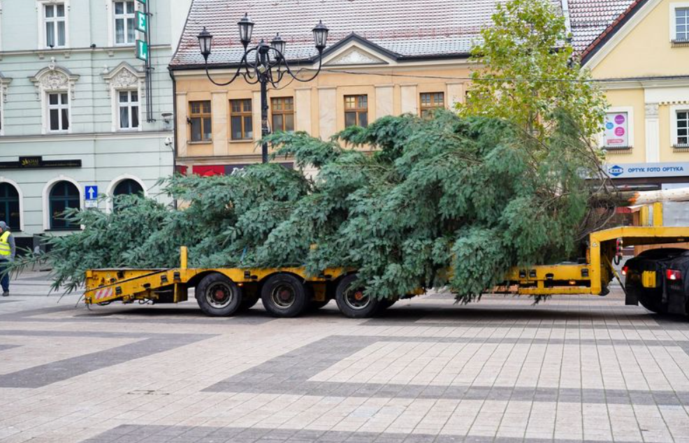 W Rybniku stanęła świąteczna choinka!
