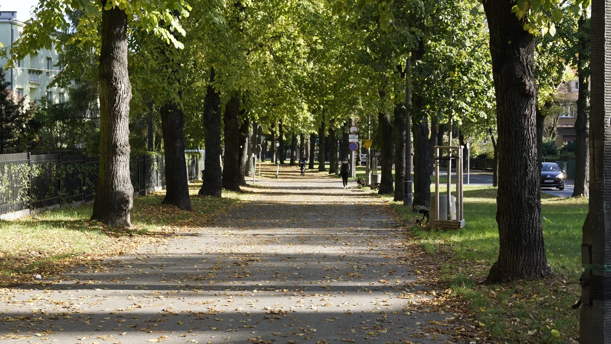 Rowerem po Gliwicach. W poniedziałek początek prac wzdłuż ul. Mickiewicza i w Sośnicy