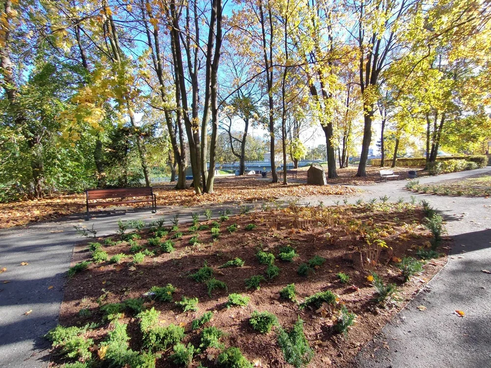Park przy ul. Staromiejskiej w Gliwicach przeszedł metamorfozę