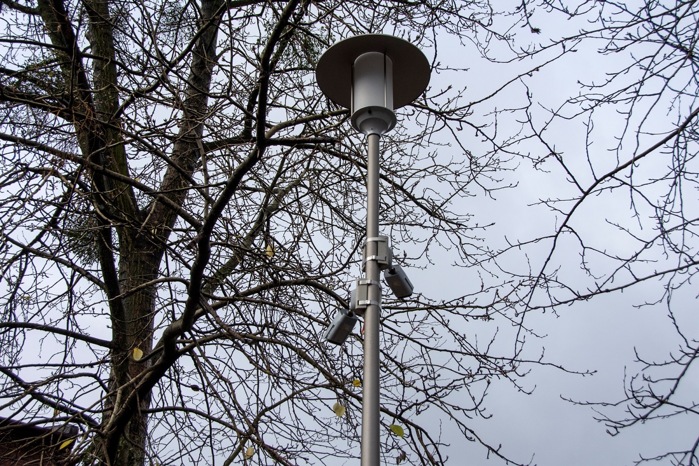 Bytom: Rewitalizacja Bobrka krok po kroku