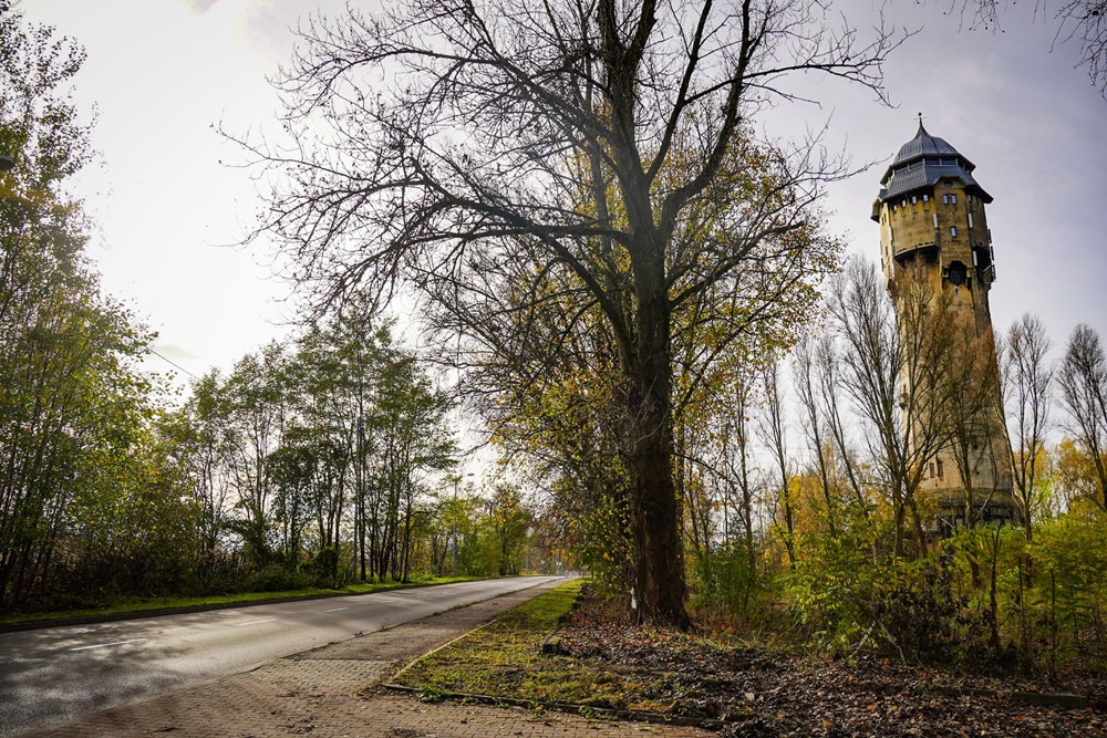 Katowice: Budowa drogi rowerowej na ul. Korczaka rozpocznie się jeszcze w tym roku!