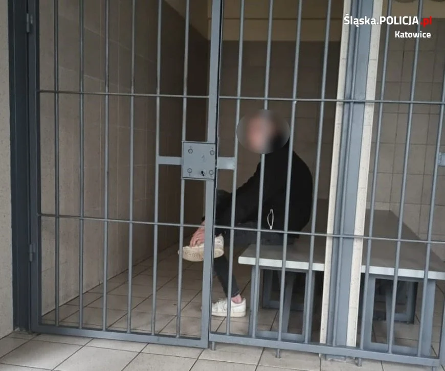 Oszustwa, niszczenie samochodów i złamanie sądowego zakazu. 19-latek został aresztowany!