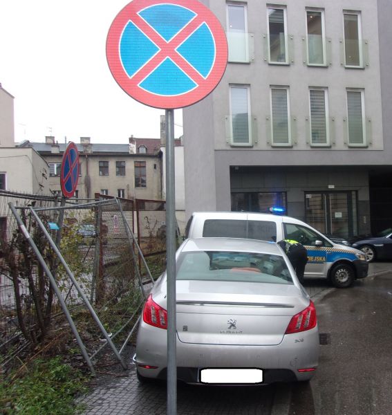 "Miszczowie" parkowania w Katowicach. Straż Miejska opublikowała kolejne zdjęcia