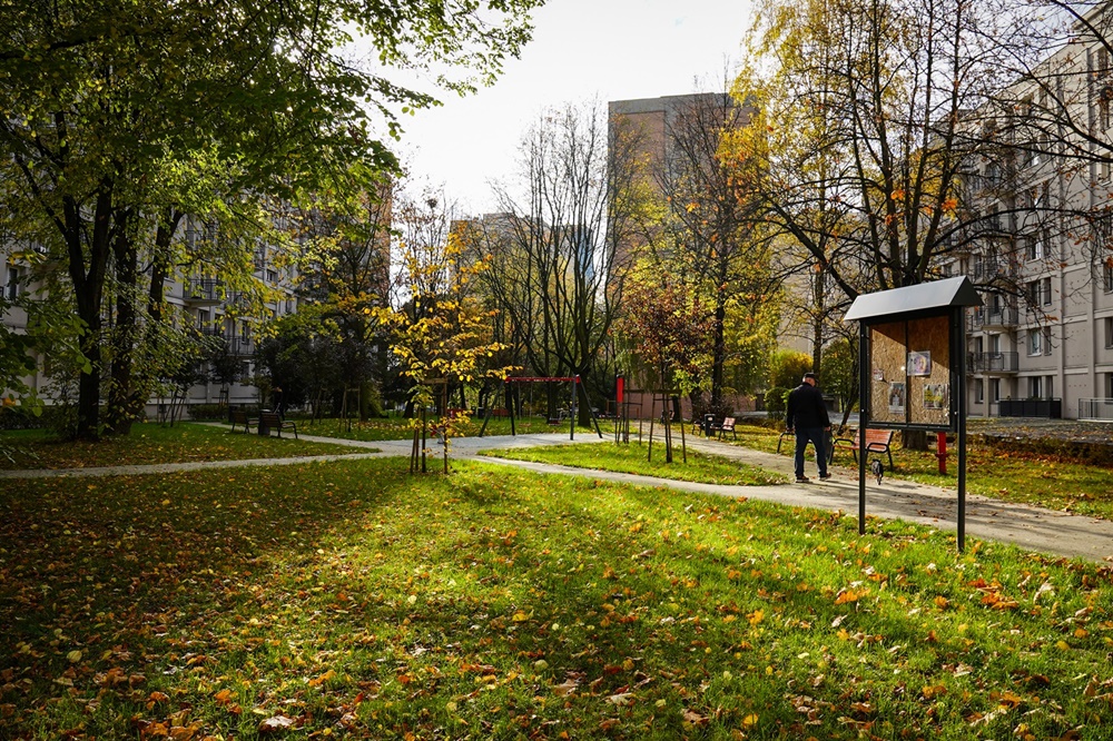 Katowice: Jeszcze więcej zieleni, czyli prace miejskich spółek i zakładów w terenie