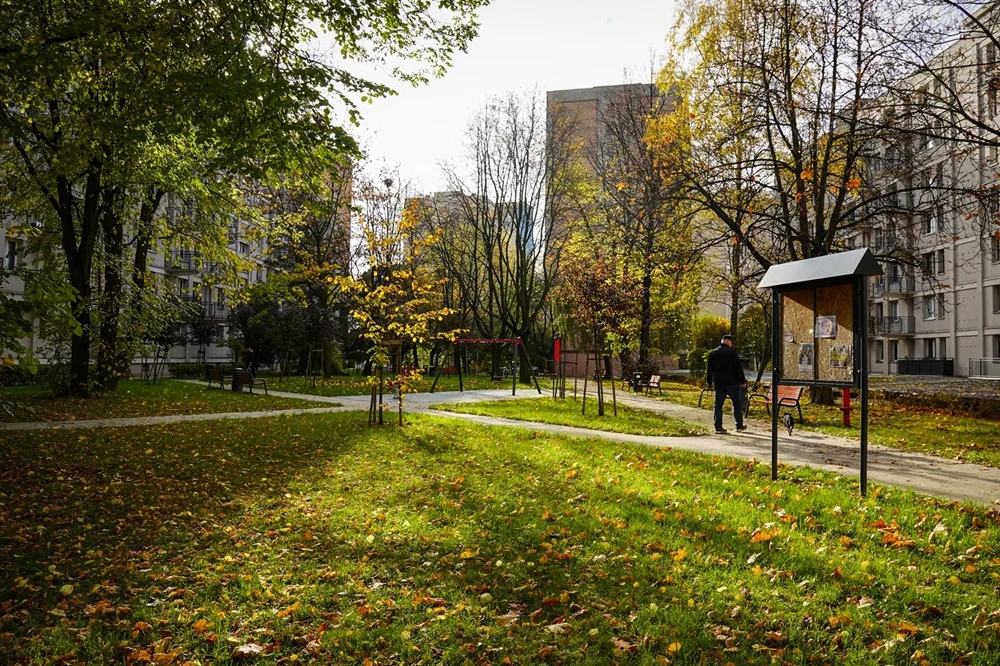 Katowice: Jeszcze więcej zieleni, czyli prace miejskich spółek i zakładów w terenie