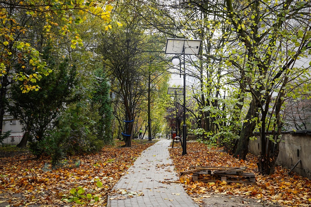 Katowice: Jeszcze więcej zieleni, czyli prace miejskich spółek i zakładów w terenie