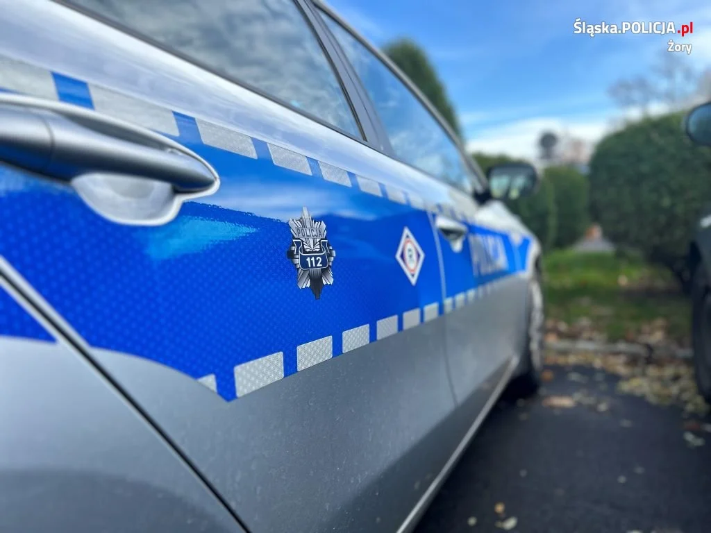 Policjanci prowadzą dziś działania "Bezpieczny pieszy"