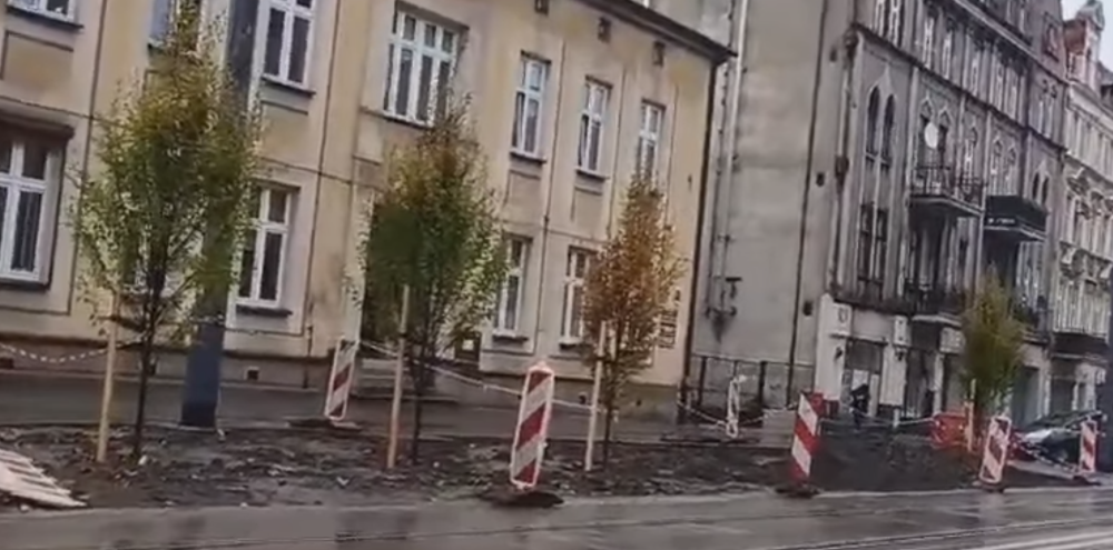 Ruszają pierwsze nasadzenia na 3 Maja!