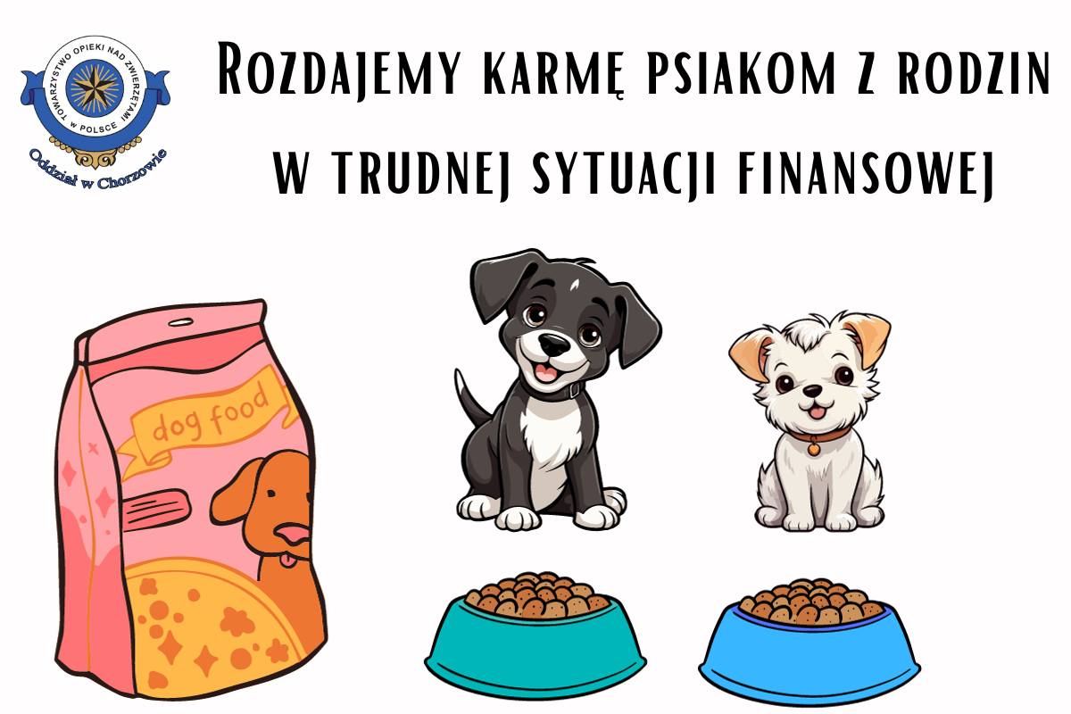 Darmowa karma od chorzowskiego schroniska. Kto może otrzymać?