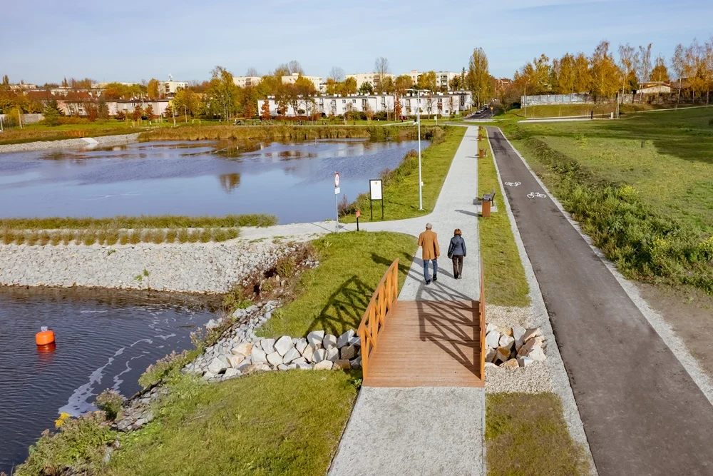 Staw Kalina w Świętochłowicach z nowym życiem. Posadzono nowe krzewy!