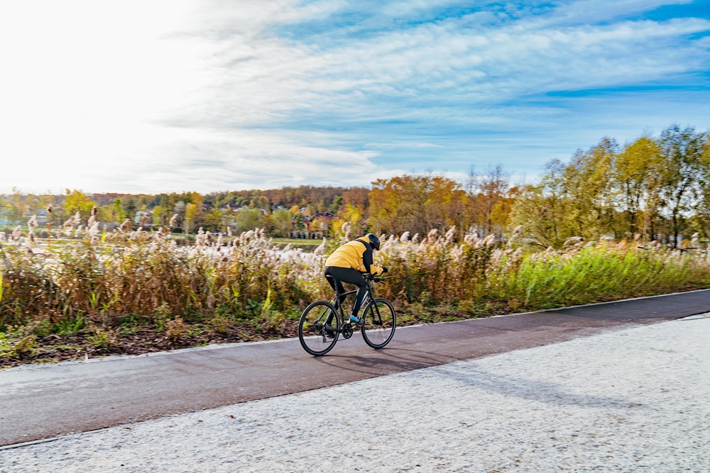 Staw Kalina w Świętochłowicach z nowym życiem. Posadzono nowe krzewy!