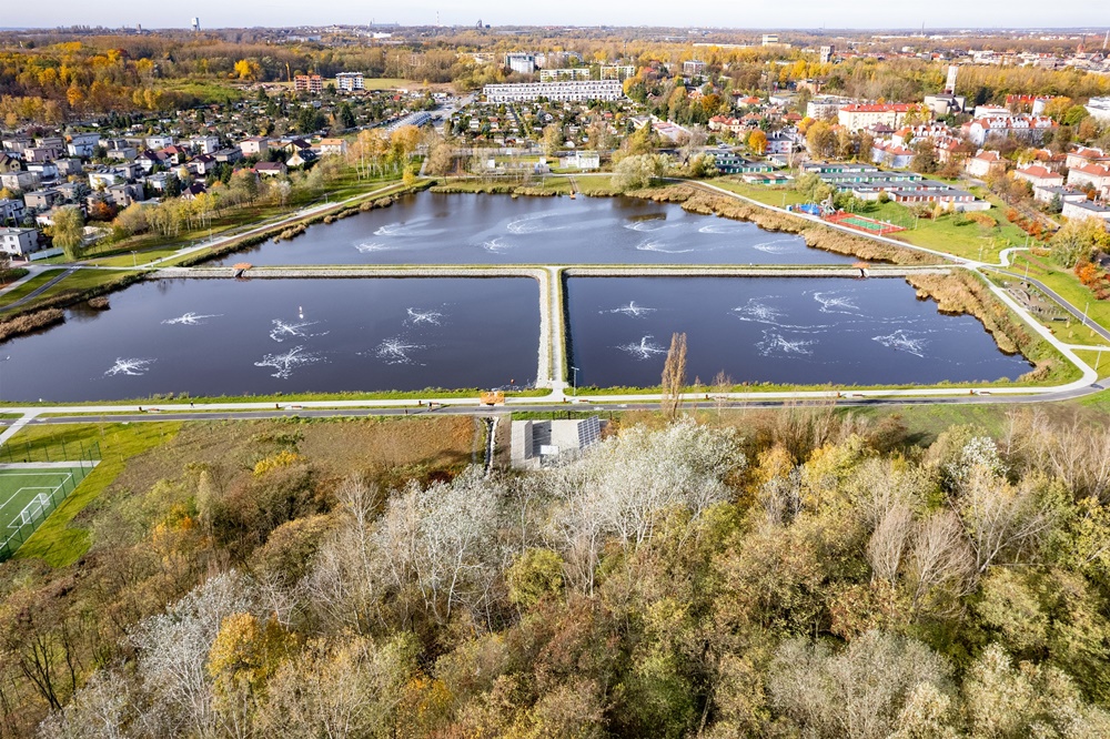 Staw Kalina w Świętochłowicach z nowym życiem. Posadzono nowe krzewy!