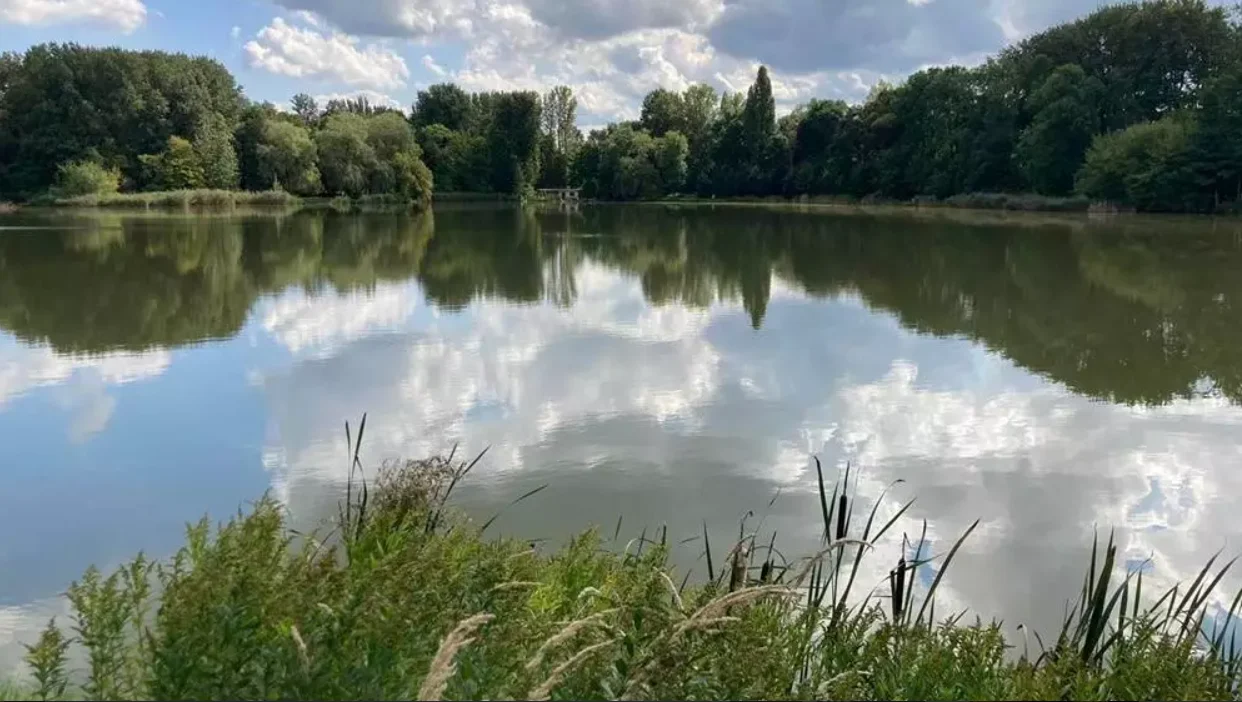 Modernizacja ogrodu jordanowskiego – przedmiot sporu między miastem i wędkarzami