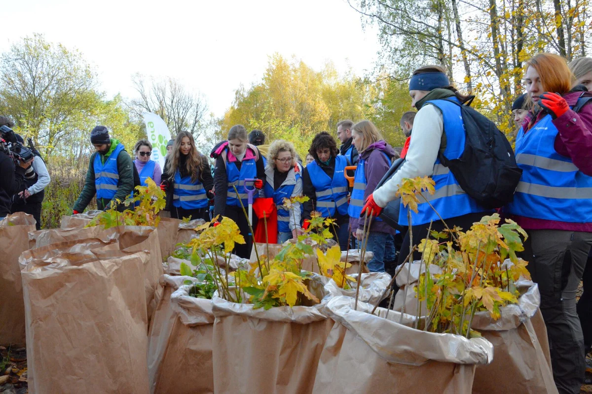 W Zabrzu zasadzono kolejne dwa tysiące drzew!