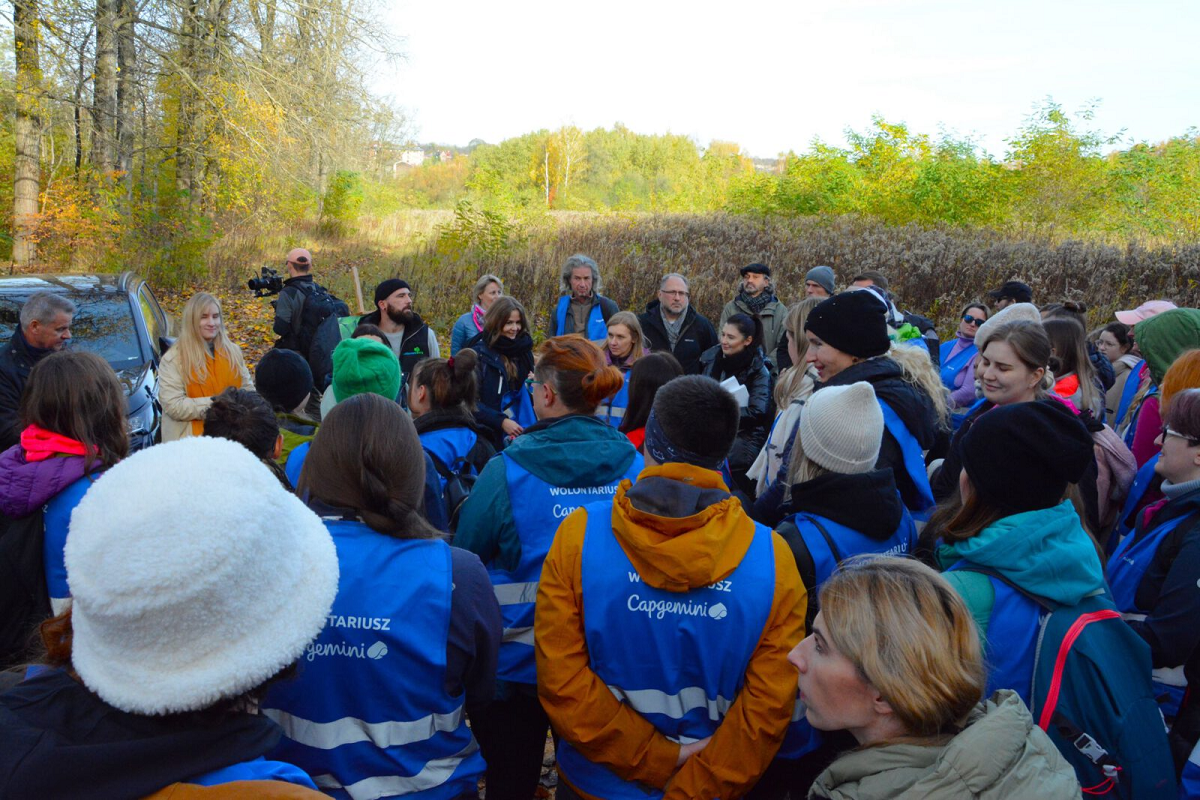 W Zabrzu zasadzono kolejne dwa tysiące drzew!