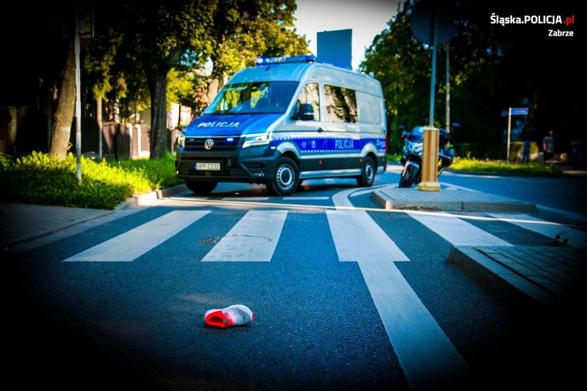 Podsumowanie policyjnych działań "Bezpieczny pieszy"