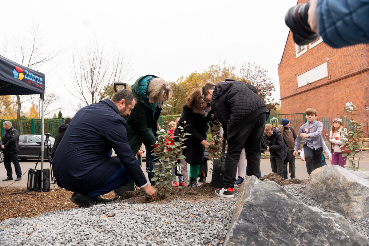 Zandka wzbogaciła się o nowy skwer w centralnej części dzielnicy!