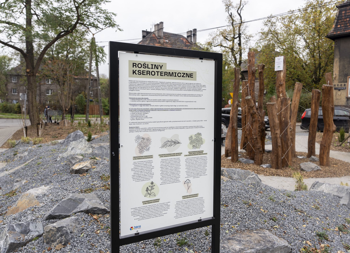 Zandka wzbogaciła się o nowy skwer w centralnej części dzielnicy!