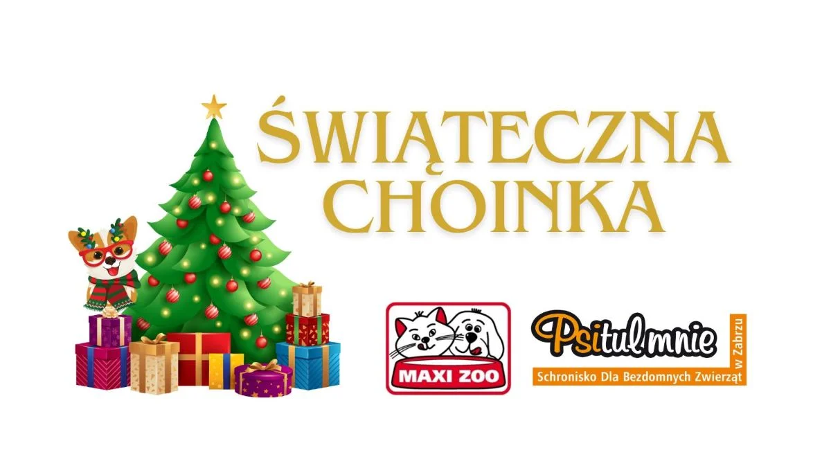 Świąteczna Choinka dla Psitula, czyli zbiórka na rzecz podopiecznych schroniska