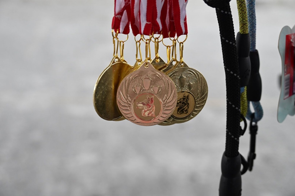 Charytatywna Wystawa Mikołajkowa Owczarków Niemieckich 2