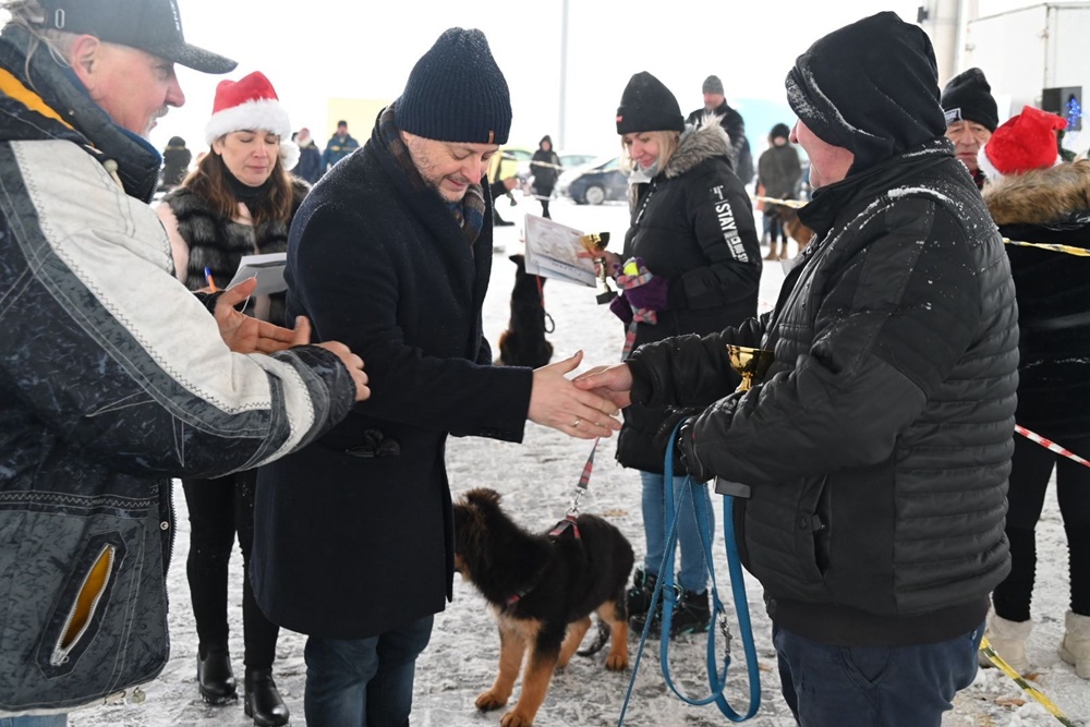 Charytatywna Wystawa Mikołajkowa Owczarków Niemieckich 6