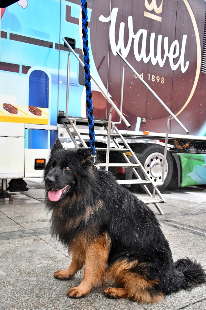 Świąteczny Konwój Radia Zet 52