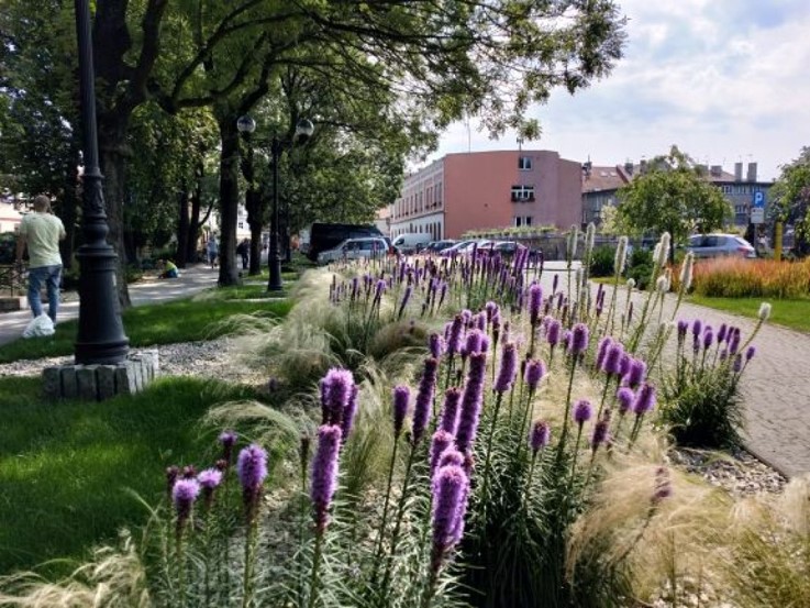 Ruda Śląska: Pomysły na nowe życie skwerów i zieleńców zebrane!