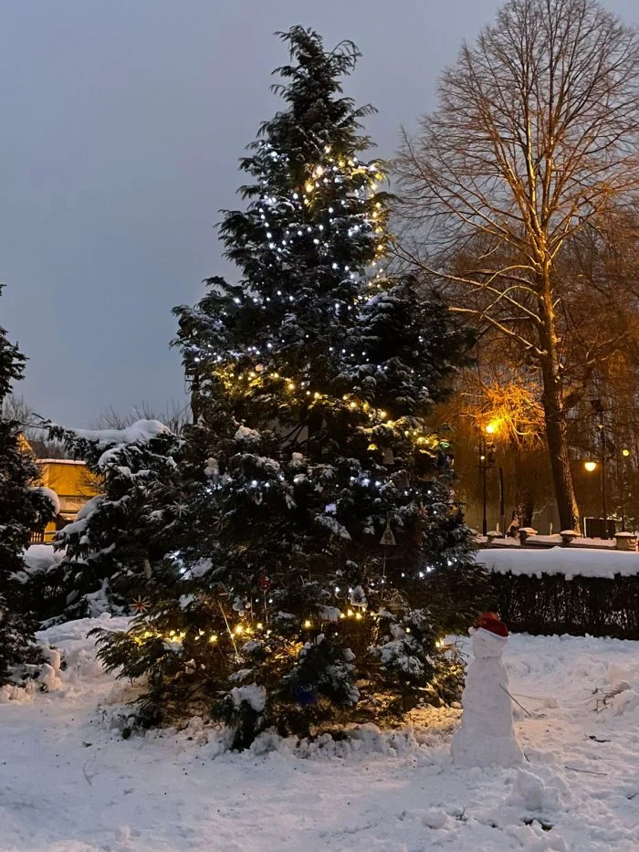 Choinka w Kochłowicach 28