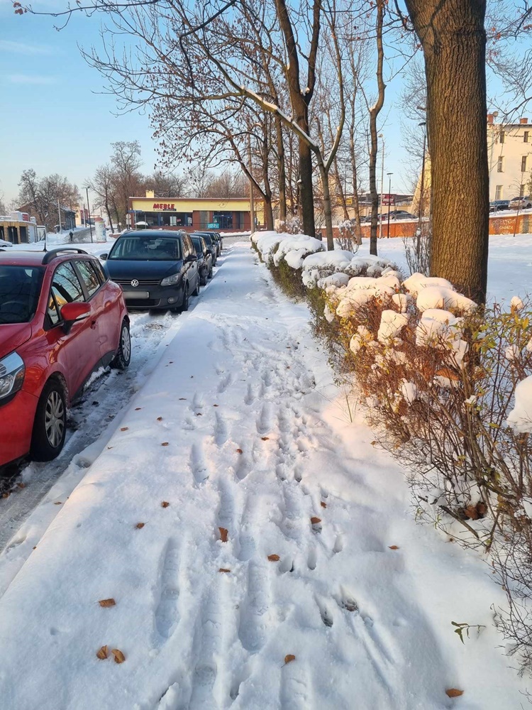 Akcja Zima w praktyce 2